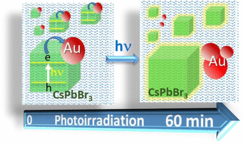 Light Induced Processes in CsPbBr<sub>3</sub>–Au Hybrid Nanocrystals: Electron Transfer and Expulsion of Au